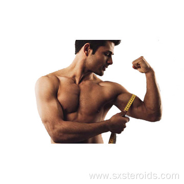 Bodybuilding Supplement Rad140 Powder CAS 118237-47-0